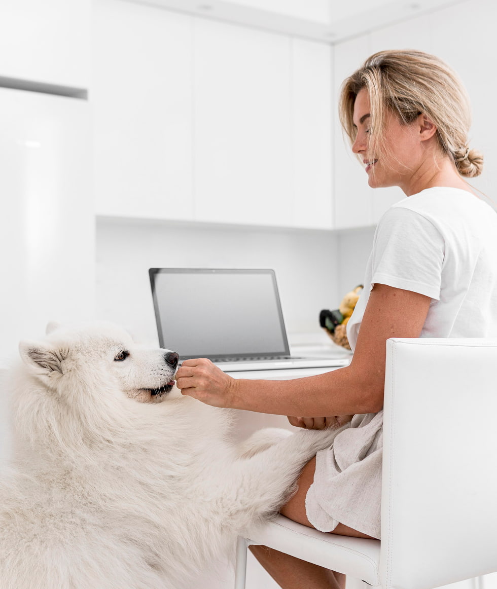 Frau Füttert Hund Zuhause