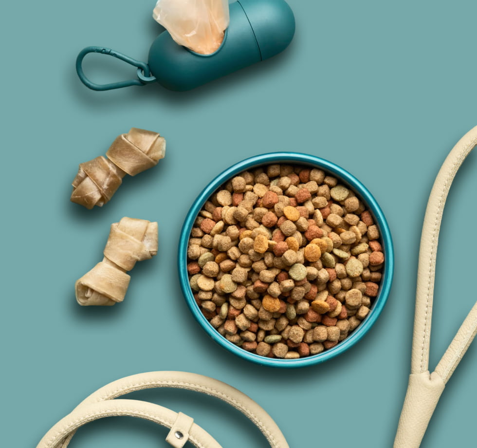 Hundefutter Und Pflegezubehör Set Mobile