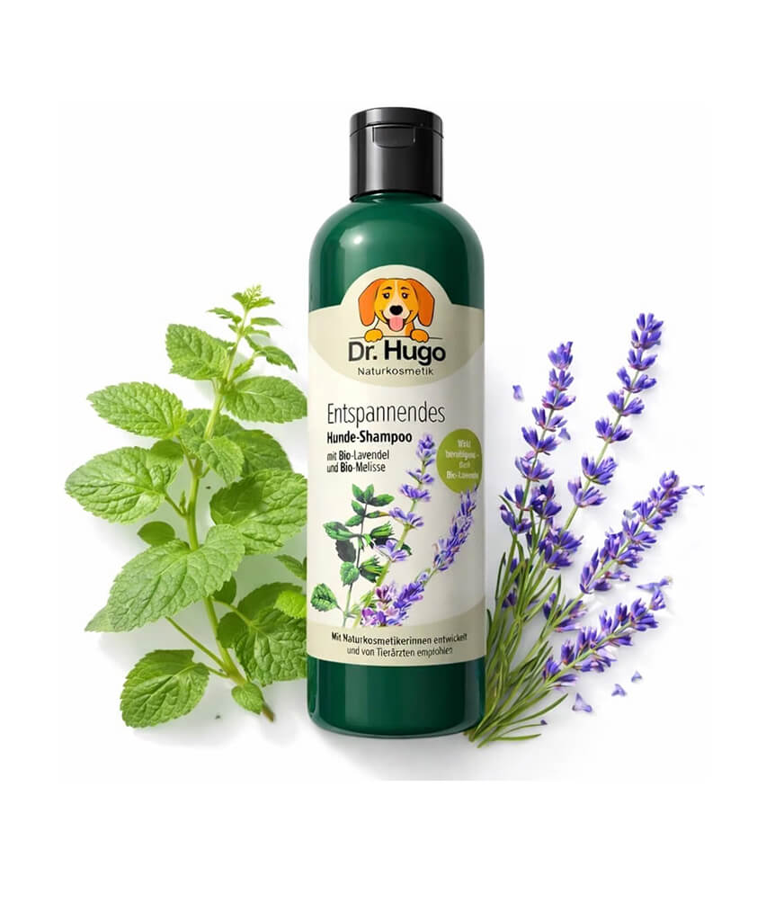 Dr Hugo Shampoo Produktbild