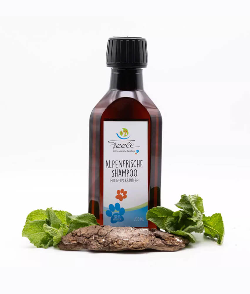 Feele Shampoo Produktbild